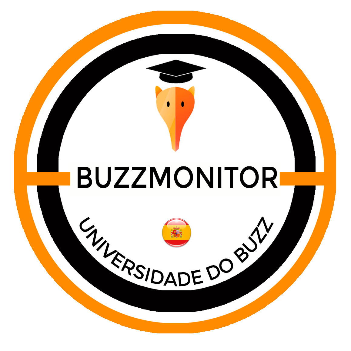 Introdução à análise de mídia sociais com a Buzzmonitor  Introducción a Social Media Analytics con Buzzmonitor 